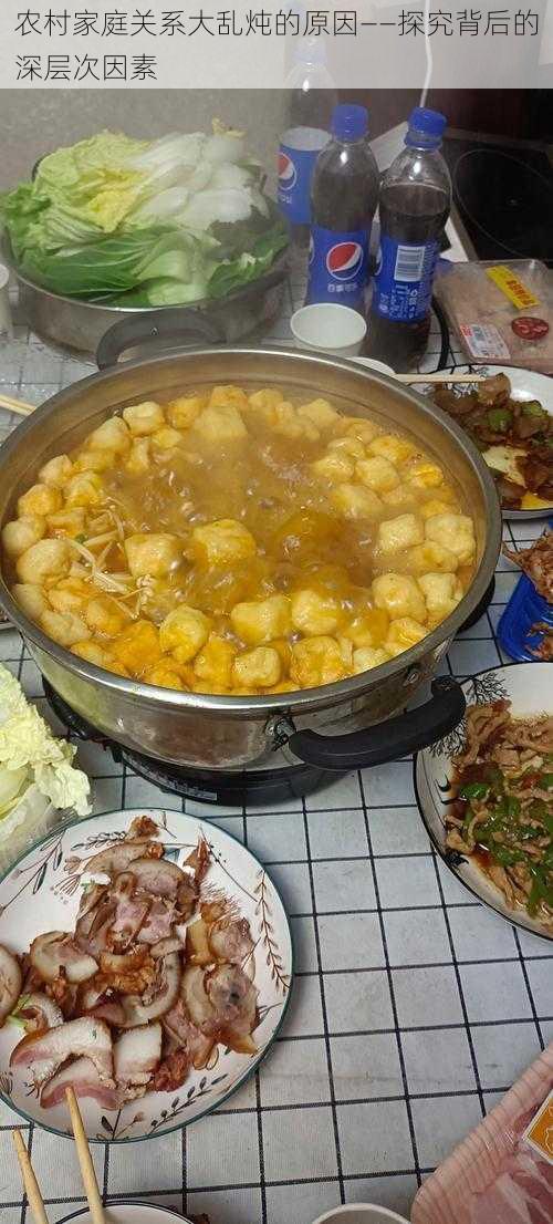 农村家庭关系大乱炖的原因——探究背后的深层次因素
